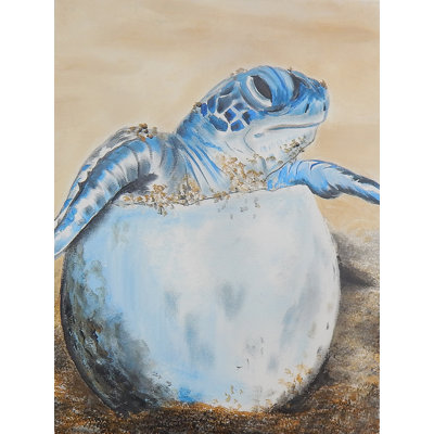Sea Turtle Wayfair